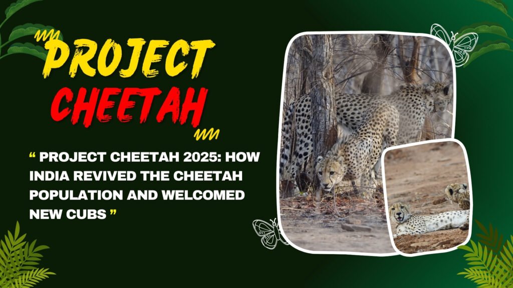 Project Cheetah 2025