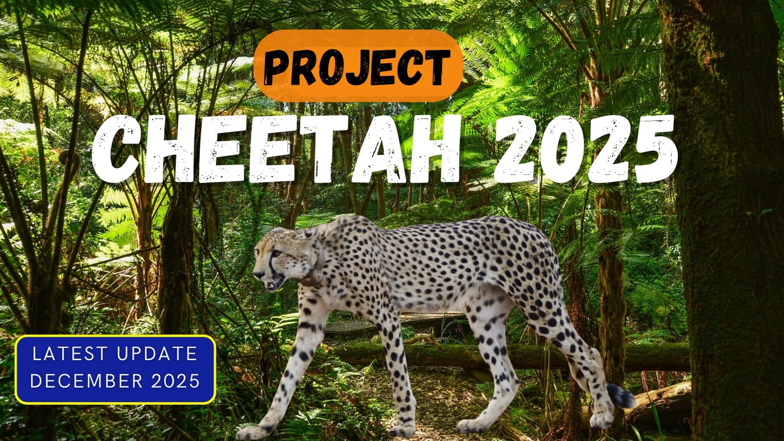 प्रोजेक्ट चीता 2025: 90 करोड़ रुपए की लागत से संचालित भारत में चीते की सफल वापसी और नई पीढ़ी का जन्म..!
